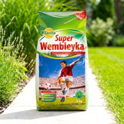 Super Wembleyka - trawa gazonowa odporna na wydeptywanie - Planta - 5 kg
