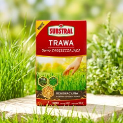 Trawa SAMOZAGĘSZCZAJĄCA - renowacyjna, do dosiewek - Substral - 1 kg