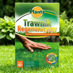 Trawnik regeneracyjny - odbudowa zniszczonego lub zaniedbanego trawnika - Planta - 1 kg