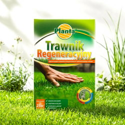 Trawnik regeneracyjny - odbudowa zniszczonego lub zaniedbanego trawnika - Planta - 5 kg - na 125 m²