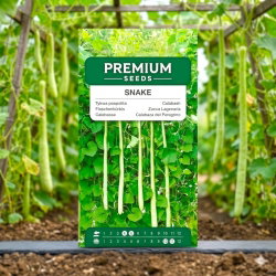 Tykwa pospolita Snake - 7 nasion