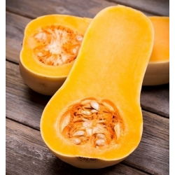 Dynia piżmowa - Butternut - 16 nasion