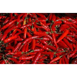 Papryka ostra De Cayenne - 65 nasion