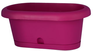 Zestaw balkonowy Lotos - jagodowy - 40 cm