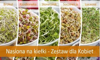 Nasiona na kiełki - Zestaw dla Kobiet