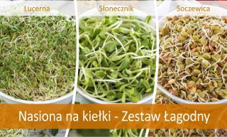 Nasiona na kiełki - Zestaw Łagodny