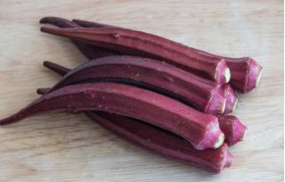 Okra, Ketmia jadalna Burgundy - 30 nasion