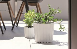 Doniczka okrągła Boardee Basic - 12 cm - biały