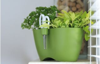 Limes Dublo - podwójna doniczka do ziół, okrągła  - 25 x 12 cm - limonka