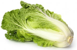 Kapusta pekińska Bristol - NASIONA OTOCZKOWANE