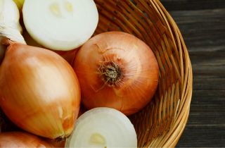 Cebula Bila - późna, do długiego przechowywania - 1250 nasion