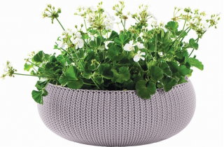 Doniczka niska Cozies - misa - śr. 54 cm - fioletowa