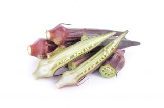Okra, Ketmia jadalna Burgundy - 30 nasion
