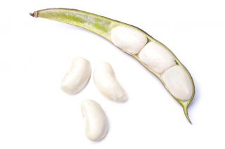 Fasola wielkokwiatowa – na suche nasiona Kontra
