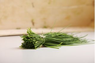 BIO Szczypiorek - Certyfikowane nasiona ekologiczne - 850 nasion