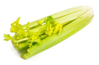 Seler naciowy Goldgelber - mięsisty i aromatyczny - 1300 nasion