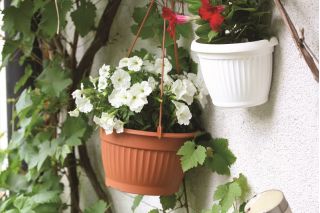 Wisząca doniczka Terra średnica 26 cm - Terakota