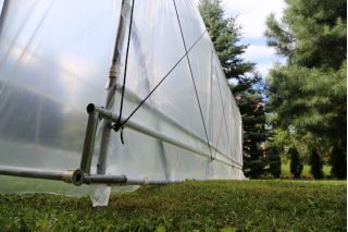 Ogrodowy tunel foliowy z systemem wietrzenia bocznego - 4,0 x 12,5 m