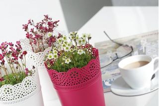 Osłonka ażurowa Lace - koronkowe wykończenie - 13,5 cm - malina