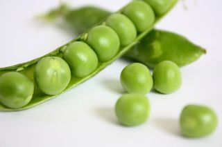 BIO Groszek zielony - Certyfikowane nasiona ekologiczne