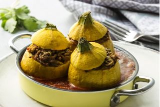 Cukinia One Ball F1 - 8 nasion