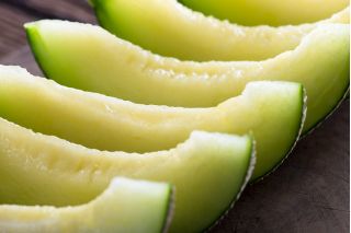 Melon Seledyn F1 - 30 nasion