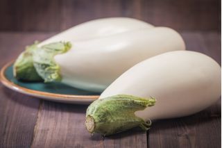 Oberżyna, Bakłażan White Egg - 125 nasion