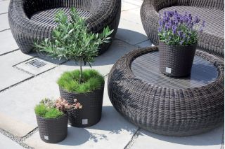 Doniczka okrągła + wkład Rato round - 25 cm - umbra, ciemny brąz