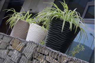 Doniczka okrągła Wave - lekka i ozdobna - 30 cm - mocca
