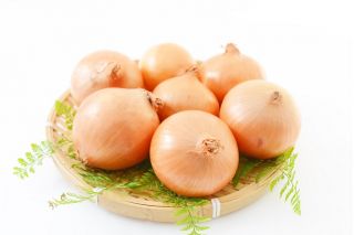 Cebula Yellow Sweet Spanish - słodka, hiszpańska cebula - 1250 nasion