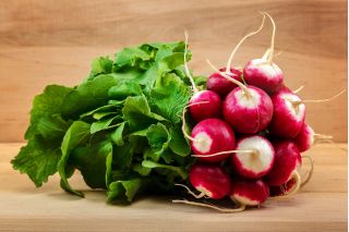 BIO Rzodkiewka National 2 - Certyfikowane nasiona ekologiczne - 425 nasion
