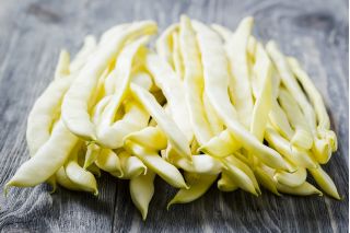 Fasola Krakuska - szparagowa, średnio późna, intensywnie żółta