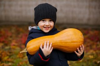 Wesoły ogródek - Ozdobna dynia, co cuda wyczynia - Nasiona do uprawy dla dzieci!