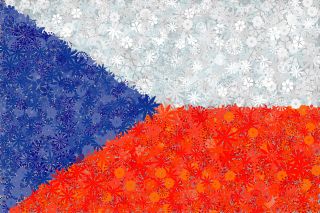 Czeska flaga - zestaw 3 odmian nasion kwiatów