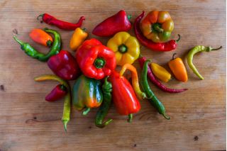 Pepper Mix - zestaw 1 - 8 odmian nasion papryki