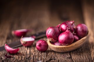 Cebula Scarlet - średniopóźna, bardzo plenna - 1250 nasion