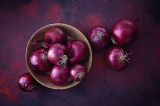 Cebula Scarlet - średniopóźna, bardzo plenna - 1250 nasion