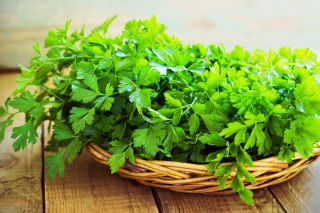 Pietruszka naciowa Natalka - gładkie i aromatyczne liście - 3000 nasion