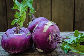 Kalarepa Delikates Blauer - duże opakowanie - 50 gram