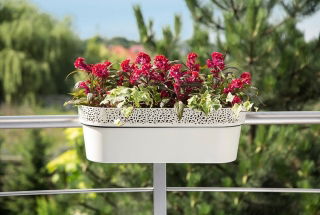 Skrzynka balkonowa z koronkowym wykończeniem, ażurowa Rosa - 50 cm - antracyt