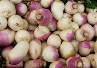 Rzepa pastewna Marco - 500 g