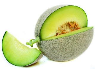 Melon Model - 45 nasion