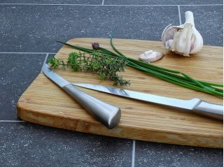 BIO Szczypiorek - Certyfikowane nasiona ekologiczne - 850 nasion