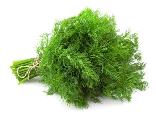 BIO Koper ogrodowy - Certyfikowane nasiona ekologiczne - 2800 nasion