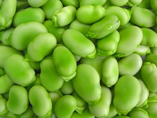 BIO Bób ogrodowy Superaguadulce - Certyfikowane nasiona ekologiczne