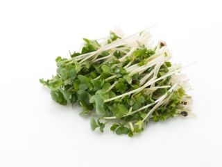 BIO Nasiona na kiełki -  Rzodkiew Daikon - certyfikowane nasiona ekologiczne