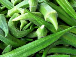 Ketmia jadalna - Okra - 30 nasion