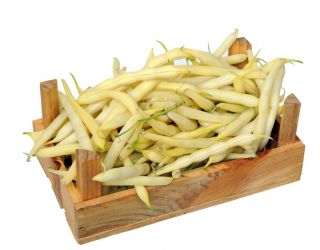 BIO Fasola szparagowa - Fructidor - Certyfikowane nasiona ekologiczne