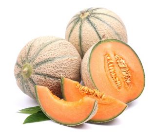 Melon MALAGA F1 - 26 nasion