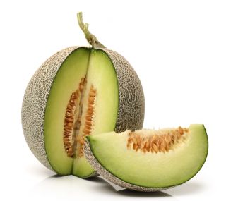 Melon Model - 45 nasion